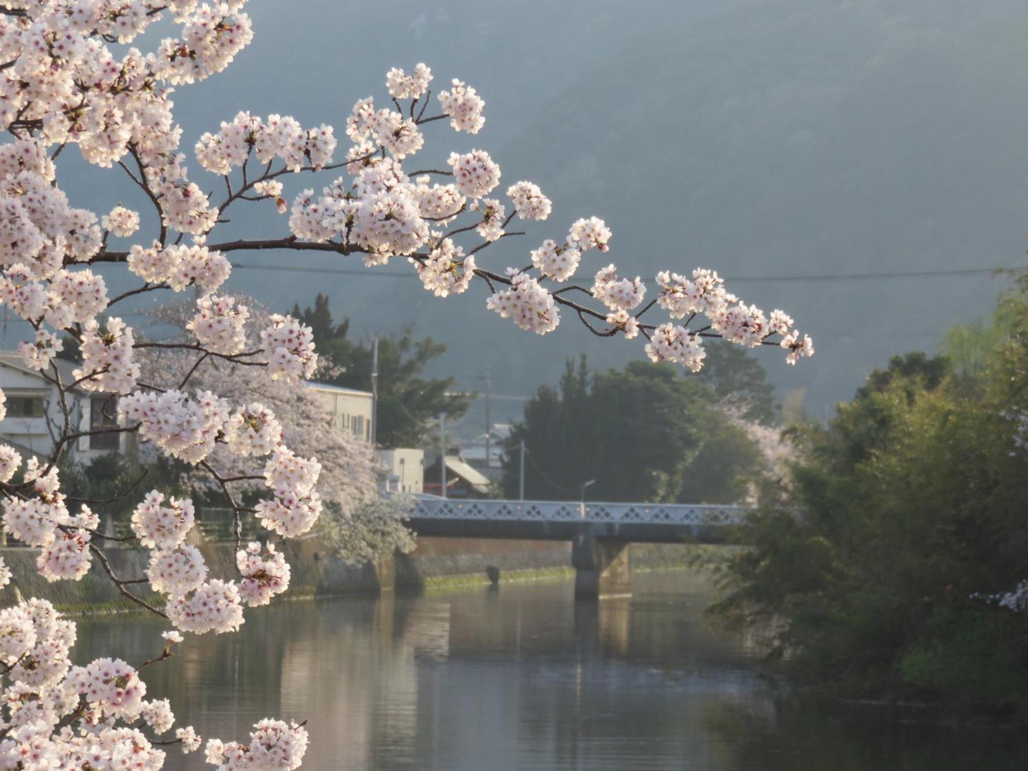 御宿しんしま Matsuzaki  Exteriér fotografie